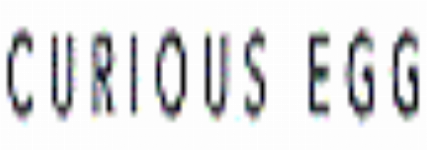 Curious Egg - Artist Curated Interiors