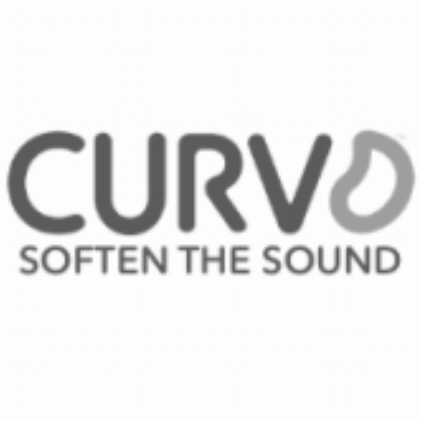 CURVD Earplugs