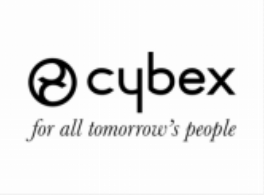 Cybex IT