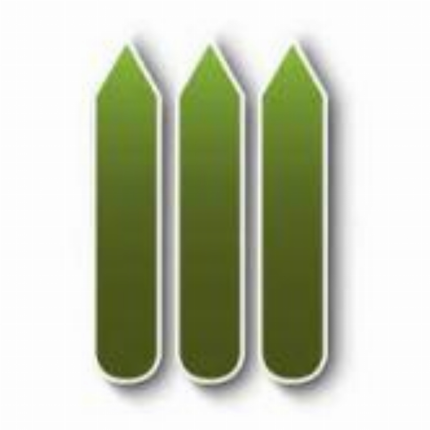 David Musson Fencing