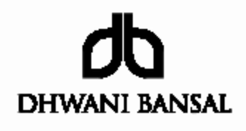 DBJ International Inc