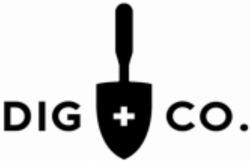 DIG CO