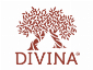 DIVINA MARKET
