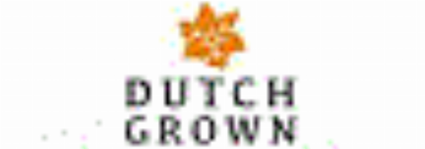DutchGrown