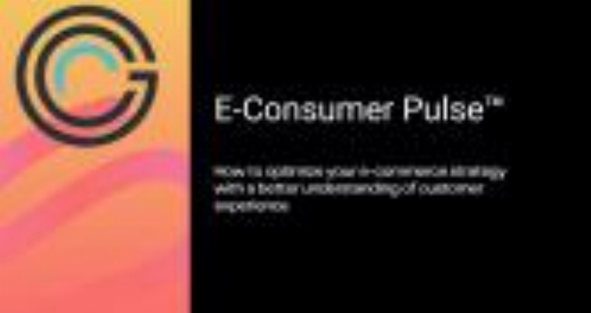 E-Consumer Pulse