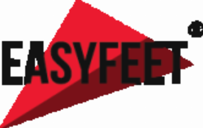 EASYFEET INC