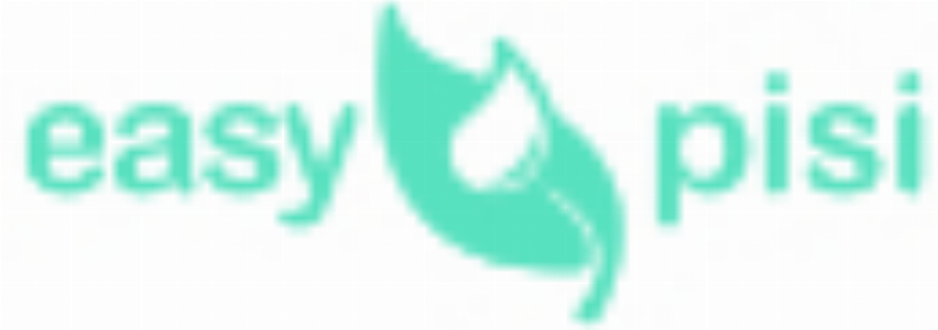 Easypisi