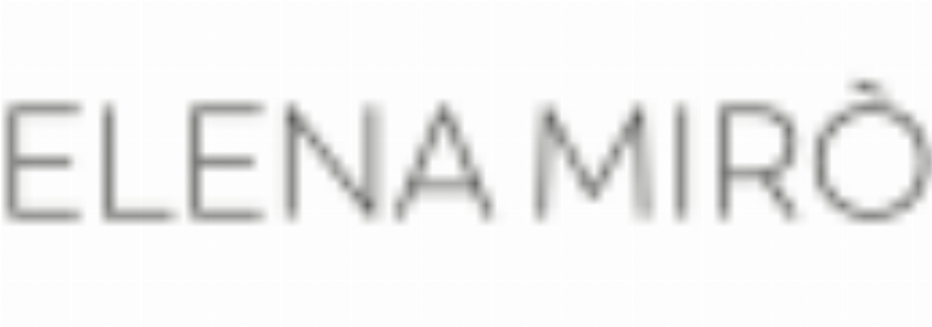 Elena Mir IT