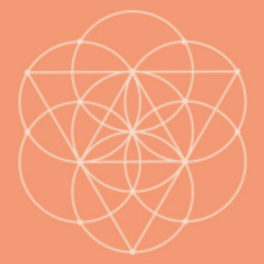 Elevate Ecommerce FZE