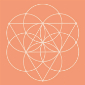 Elevate Ecommerce FZE