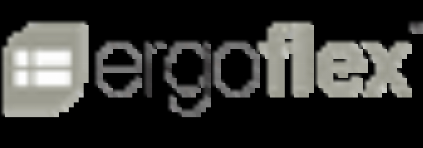 Ergo Flex