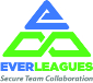 Everleagues Inc