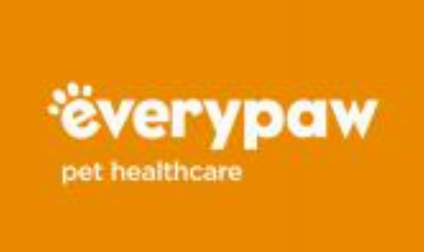 Everypaw