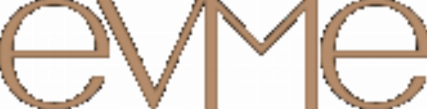 Evme inc