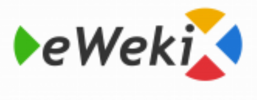 eWeki IT