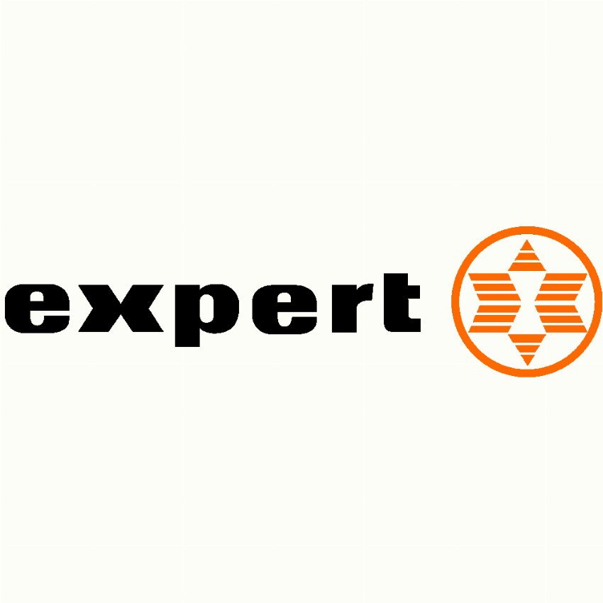 Expert