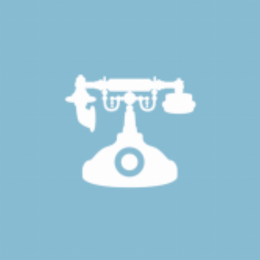 F teFone The Original Audio Guest Book