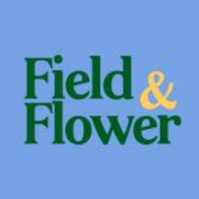 Field Flower