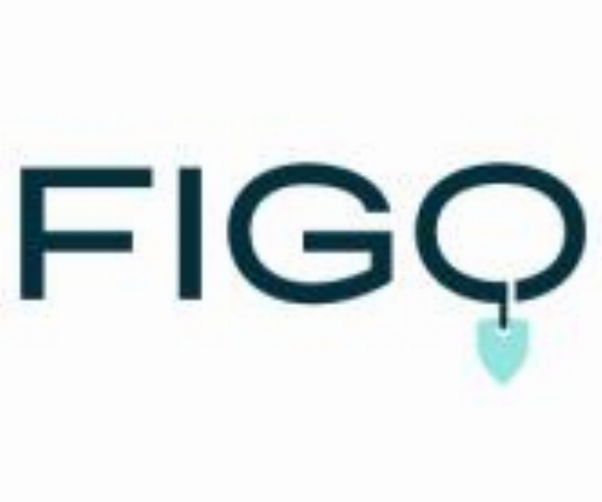 Figo Tierkrankenversicherung