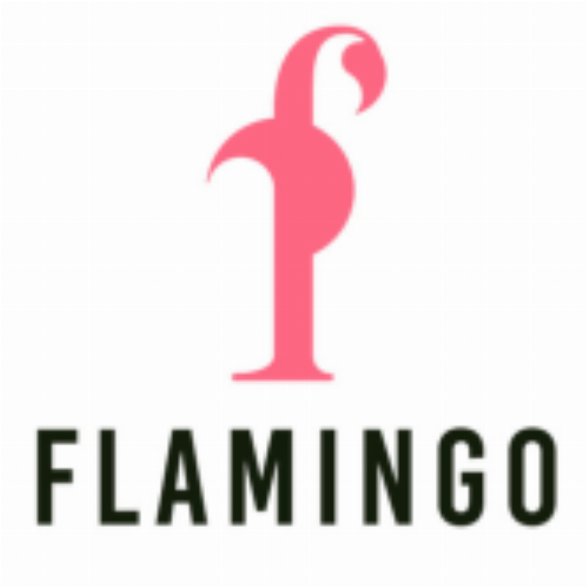 Flamingo Technologies