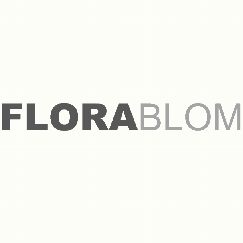 Florablom