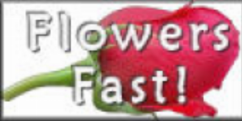 Flowers Fast -Send Flowers Same Day Delivery