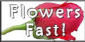 Flowers Fast -Send Flowers Same Day Delivery