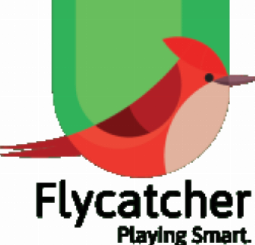 Flycatcher Inc