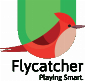 Flycatcher Inc