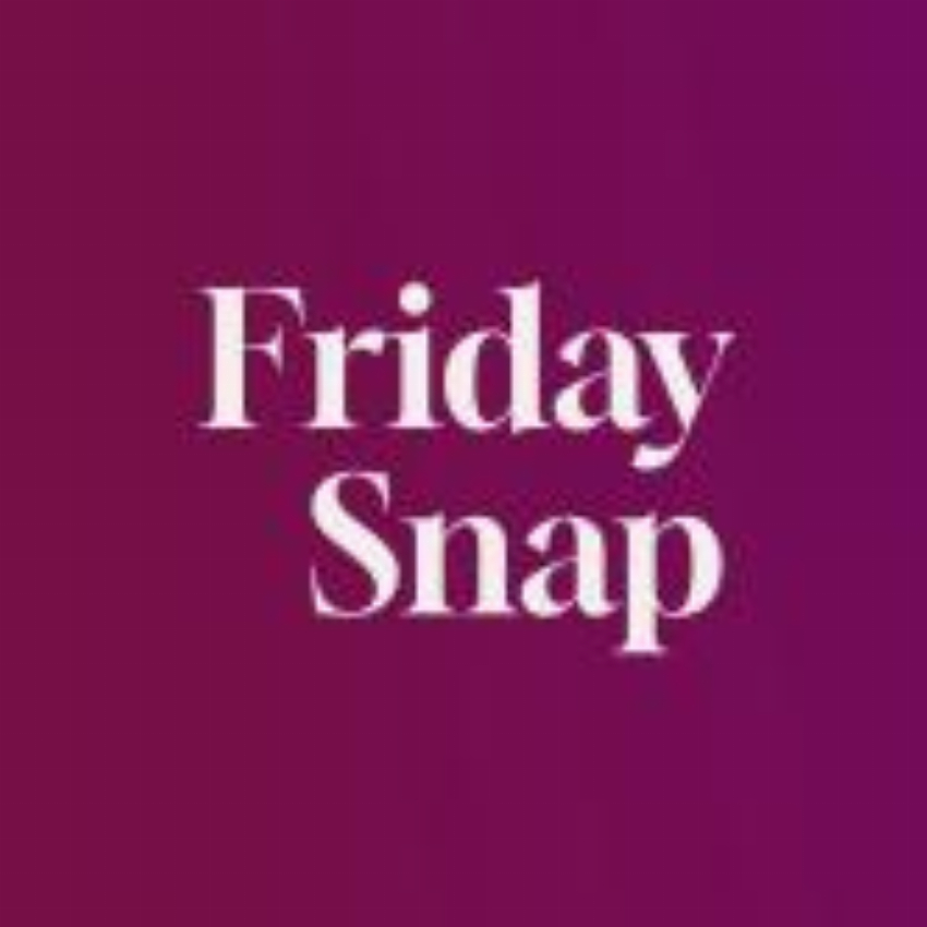 FridaySnap - Mach deine G ste zu Fotografen