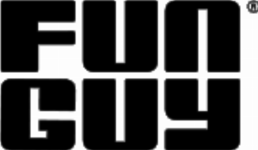 Fun Guy