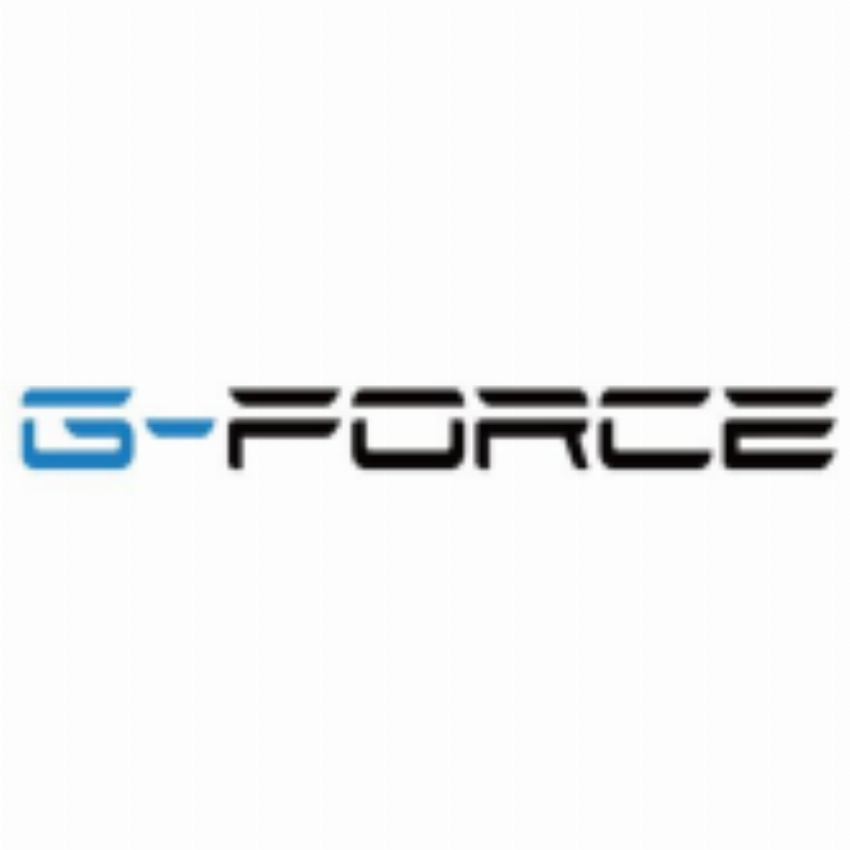 G-Force Inc