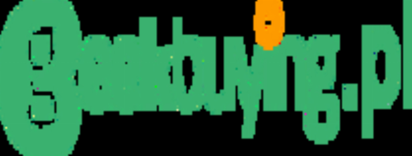 Geekbuying PL
