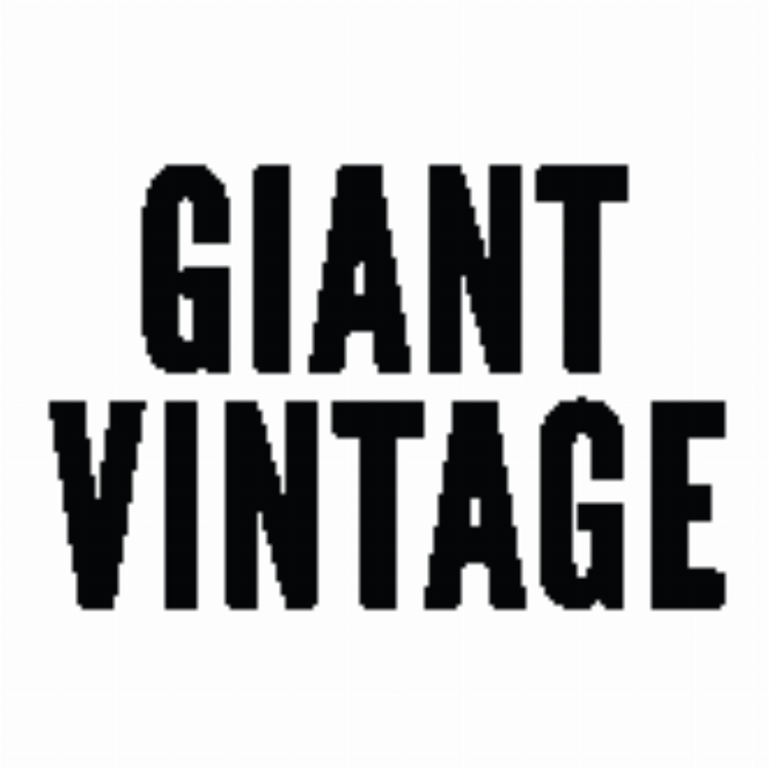 Giant Vintage