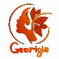 Guangzhou Zhuoyun Network Technology Co Ltd