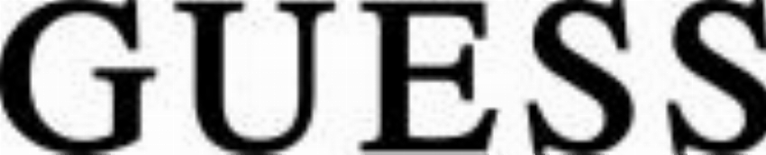 Guess IT