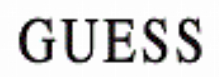 Guess PL