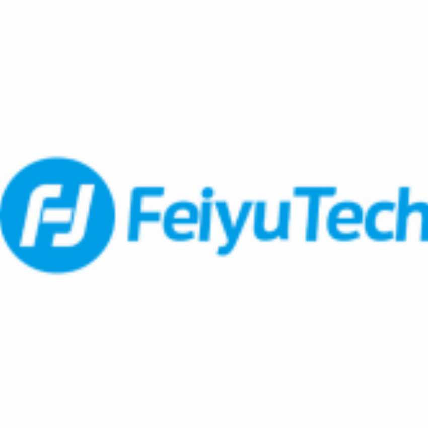 Guilin Feiyu Technology Incorporated Company