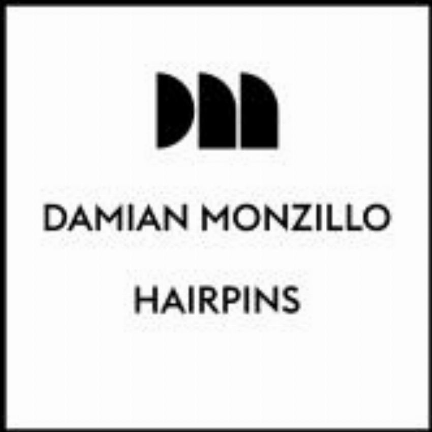 Hairpins by Damian Monzillo