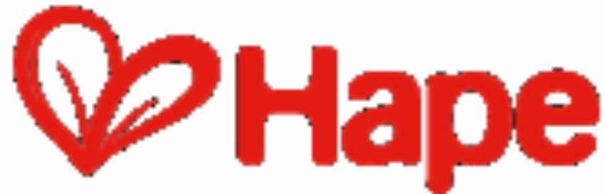 Hape International Inc