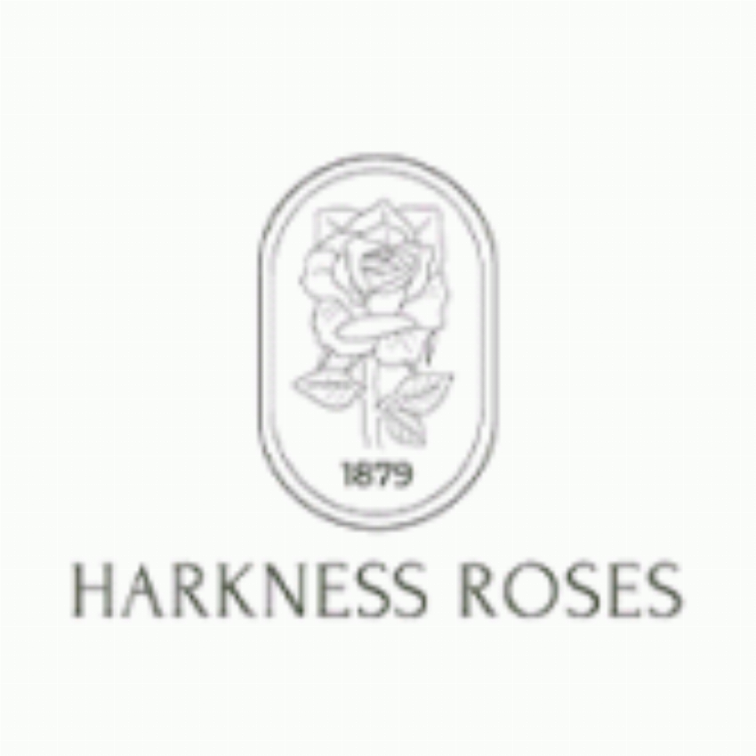 Harkness Roses
