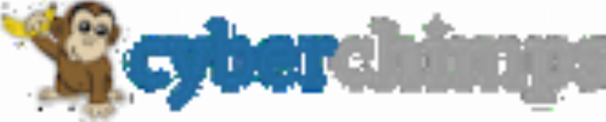 HB Digital Inc CyberChimps