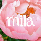 Hey Mila Inc