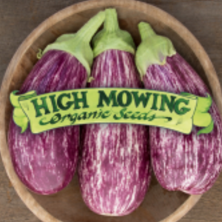 High Mowing Organic Seeds