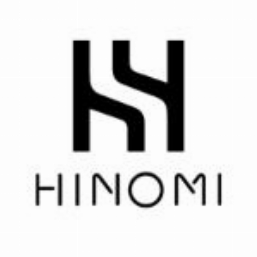 HINOMI Ergonomic Home Office Solutions