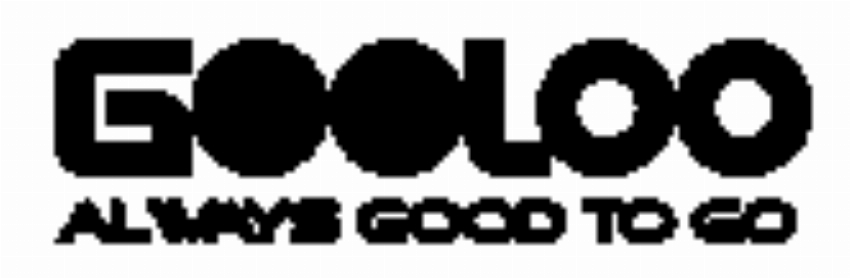 HONG KONG HAOWEI TECHNOLOGY CO LIMITED