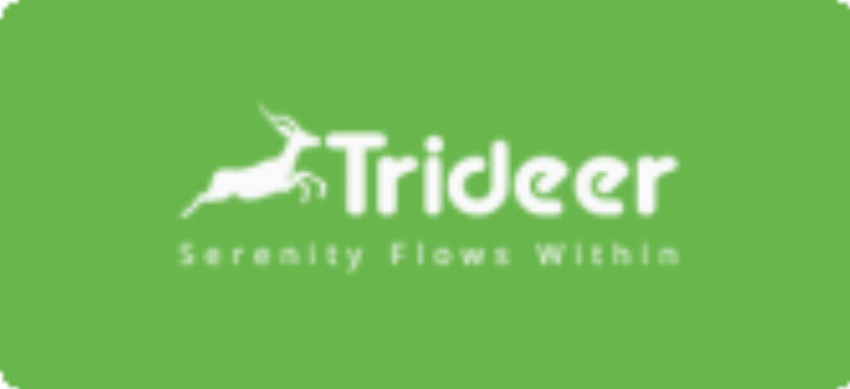 HONGKONG FORTUNE INDUSTRY TECHNOLOGY CO LIMITED