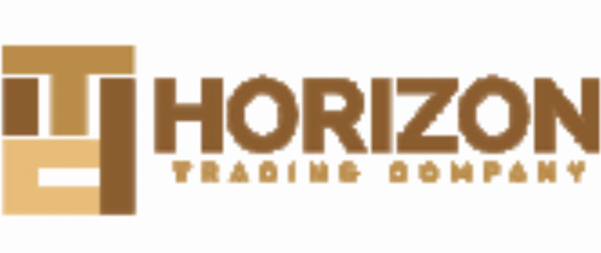 HORIZON TRADING COMPANY OF NY INC