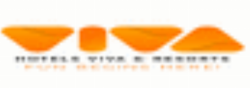 Hotels Viva