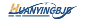 Huanying Technology Co Ltd